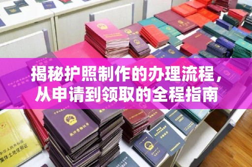 萨嘎揭秘护照制作的办理流程，从申请到领取的全程指南